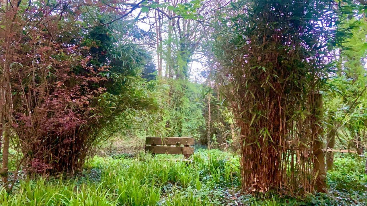 Lacken Millhouse&Gardens Cavan Exterior foto