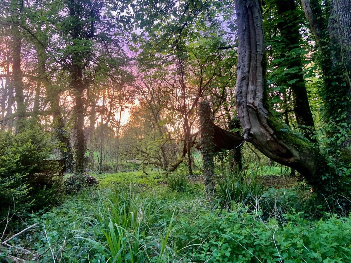 Lacken Millhouse&Gardens Cavan Exterior foto